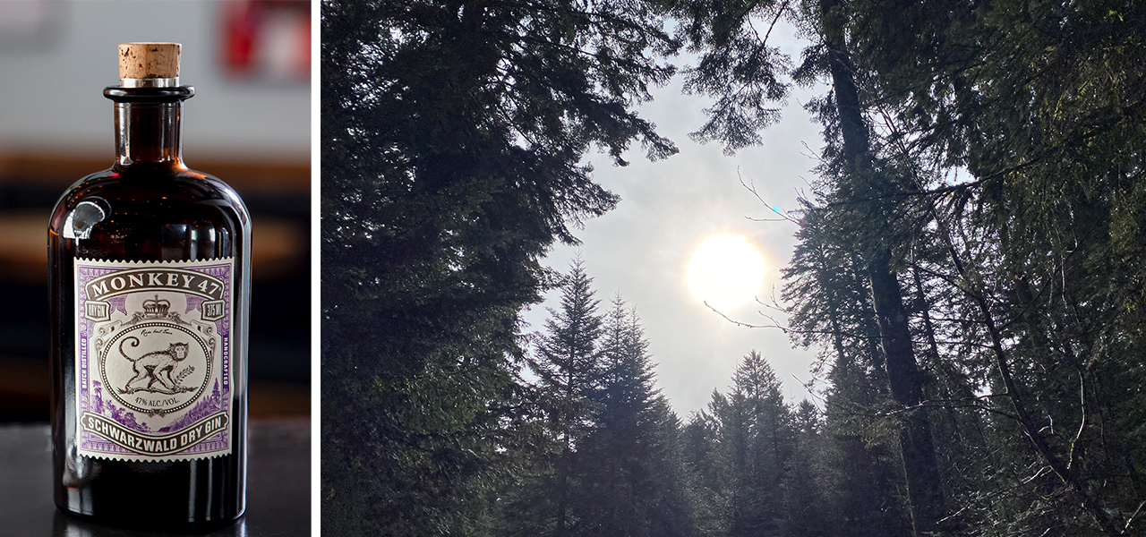 「MONKEY 47」の製品情報 ｜MONKEY 47