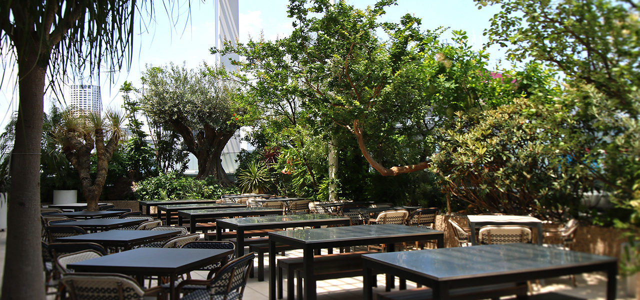 空と植物とエキゾチックな料理を楽しむビアテラス｜SHIRONONIWA