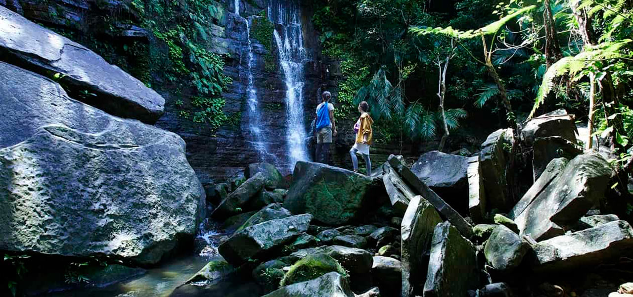 星野リゾート 西表島ホテルで、ストレスを完全解放させる2泊3日のプログラム｜TRAVEL