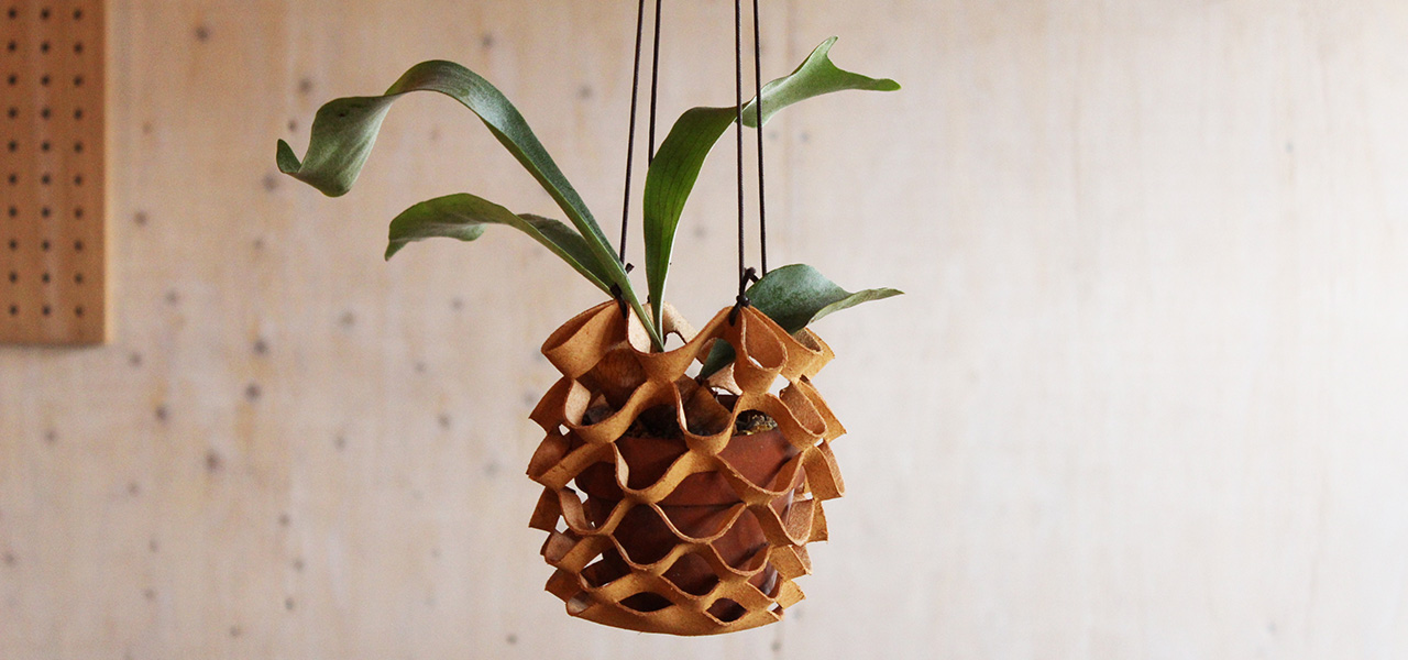 植物を空間のアクセントにするハンギングツール |Araheam x RHYTHMOS