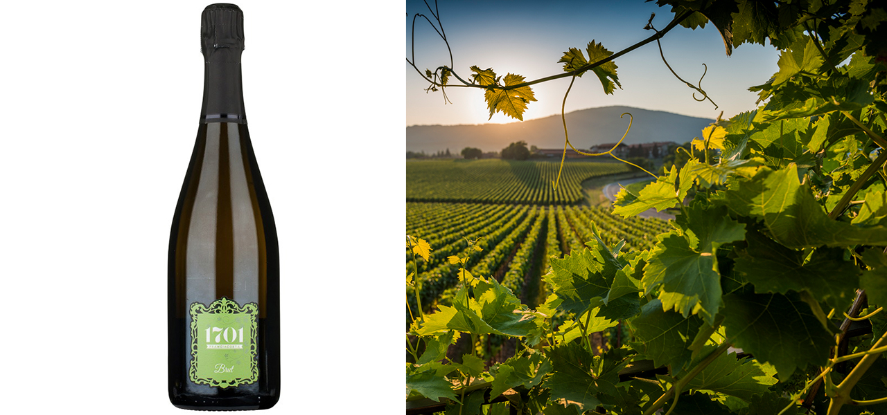 イタリアの極上発泡ワイン、自然派フランチャコルタ｜EAT