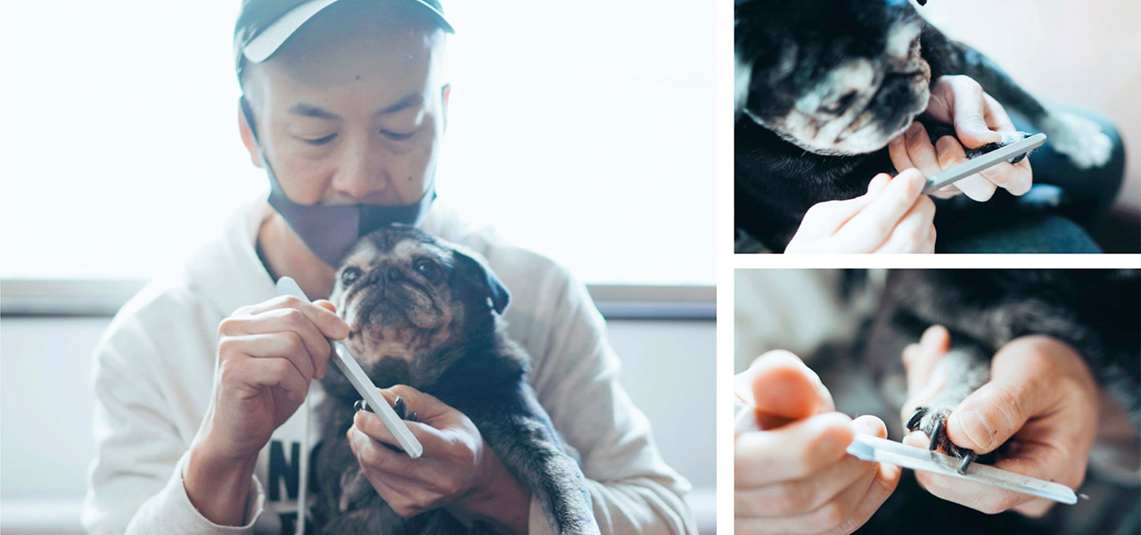 120年続く伝統の技が光る、ペット用爪ヤスリ「dogood」登場｜YOSHIDA YASURI