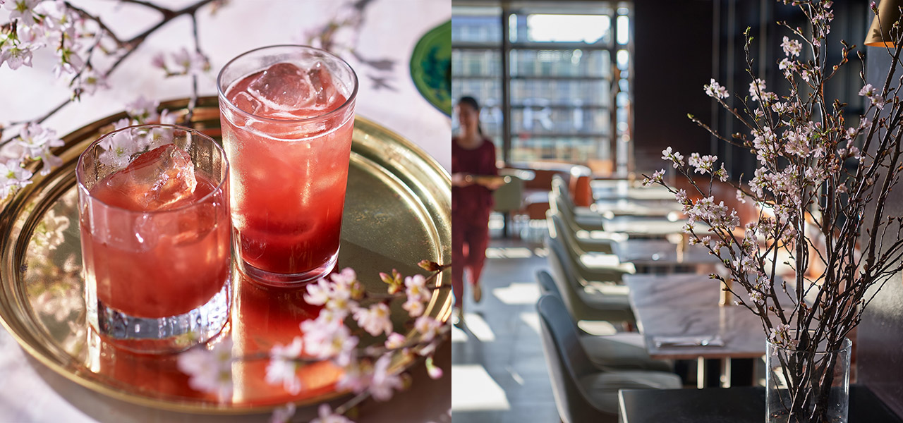 billsでお花見。店内で桜を眺めながら桜ドリンクを楽しめる「Hanami at bills」｜bills