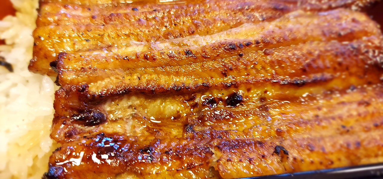 連載エッセイ|#ijichimanのぼやき「ウナギ」