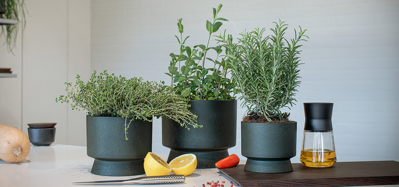 環境活動家のシーネ・ヴェーネバークと協働。再生プラスチック製のフラワーポット|ROSENDAHL COPENHAGEN