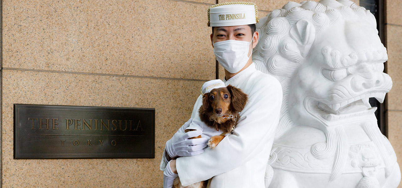 ［犬と泊まれる宿］“館内抱きかかえで皇居お散歩”が叶う！　ザ・ペニンシュラ東京「ドッグステイプログラム」全容を大公開｜TRAVEL
