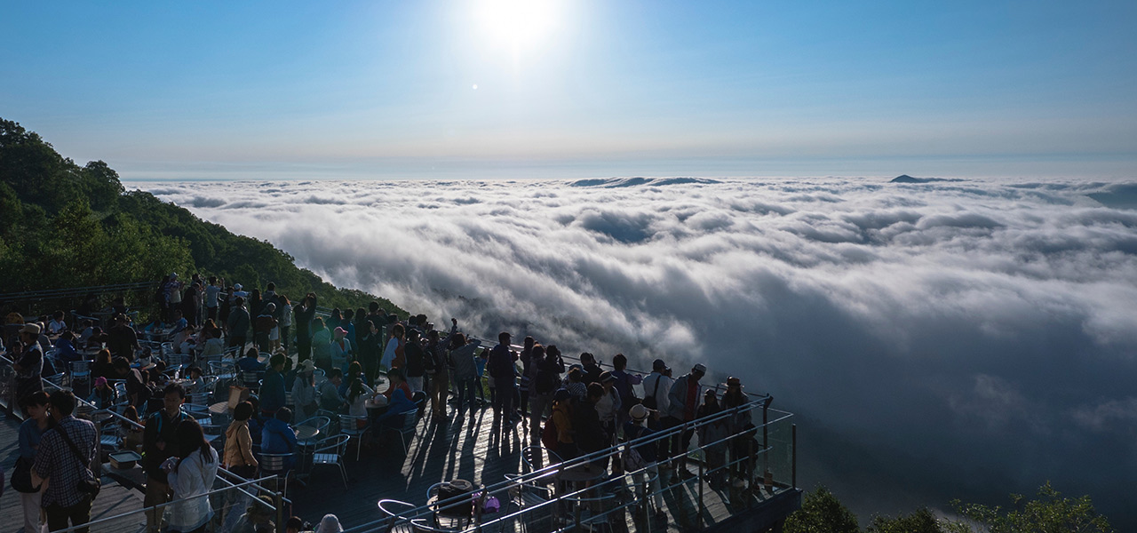 北海道感ほとばしる、 雲海、ファームエリア、ナチュールワイン。夏トマムを満喫するTO DOリスト|TRAVEL