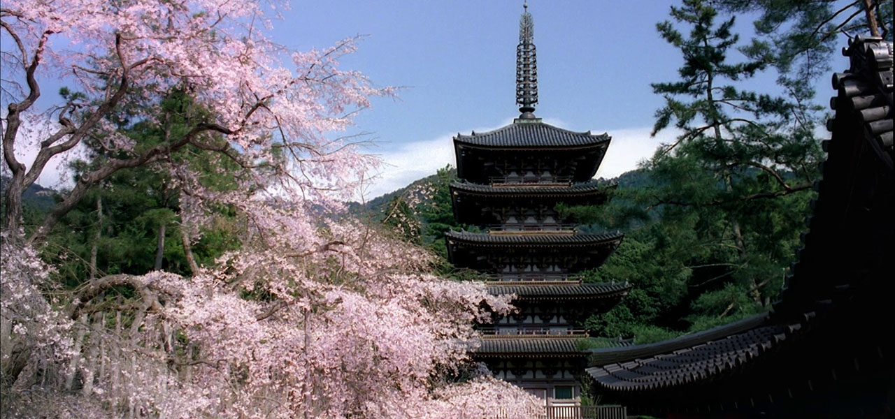 2023年、春の「そうだ 京都、行こう。」キャンペーン!東京駅、渋谷が、京都の桜で満開に。2月18日(土)~6月30日(金)で開催!