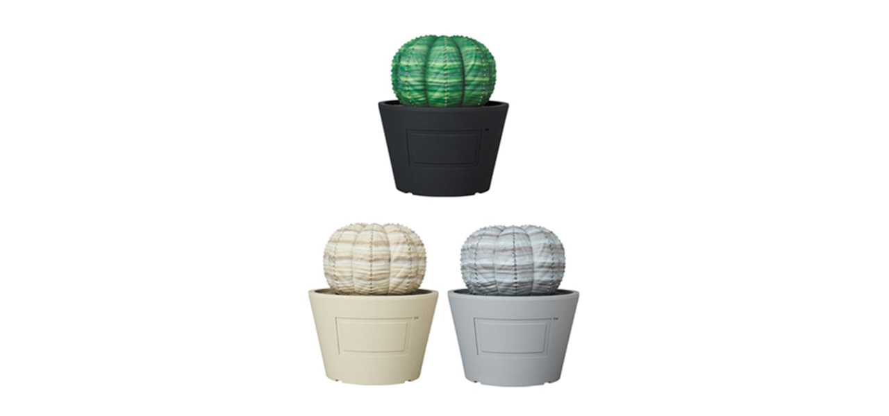 VCD Euphorbia obesa|MEDICOM TOY