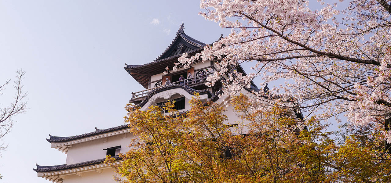 大自然に囲まれながらヒストリカルでクリエイティブな刺激と休息を。 2つの国宝に隣接する「ホテルインディゴ犬山有楽苑」でリブートする｜TRAVEL