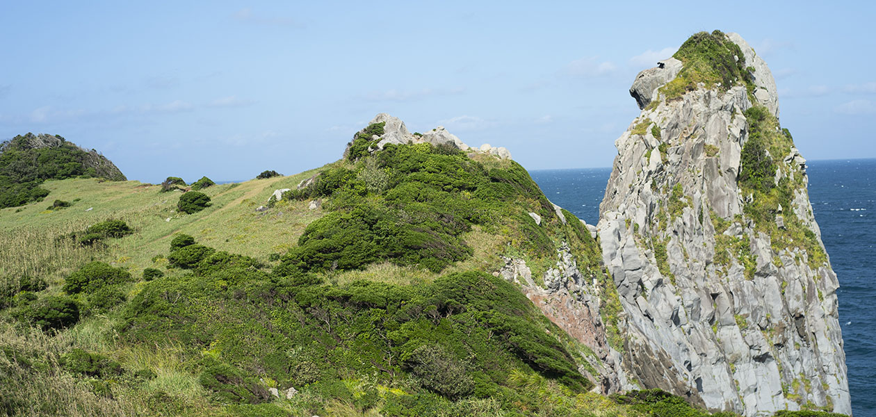 人の営みも実りも豊かな島、壱岐島へ！｜TRAVEL