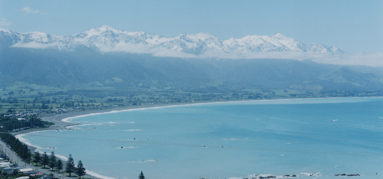ニュージーランドの南島、カイコウラで地球の息吹を感じる｜TRAVEL