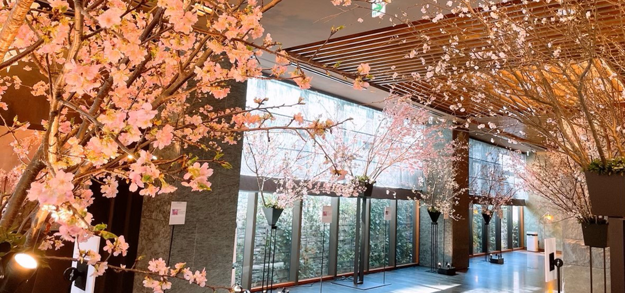 花人・赤井勝氏プロデュース。屋内花見イベント「瑞華院 了聞」主催 さくら祭り|EVENT