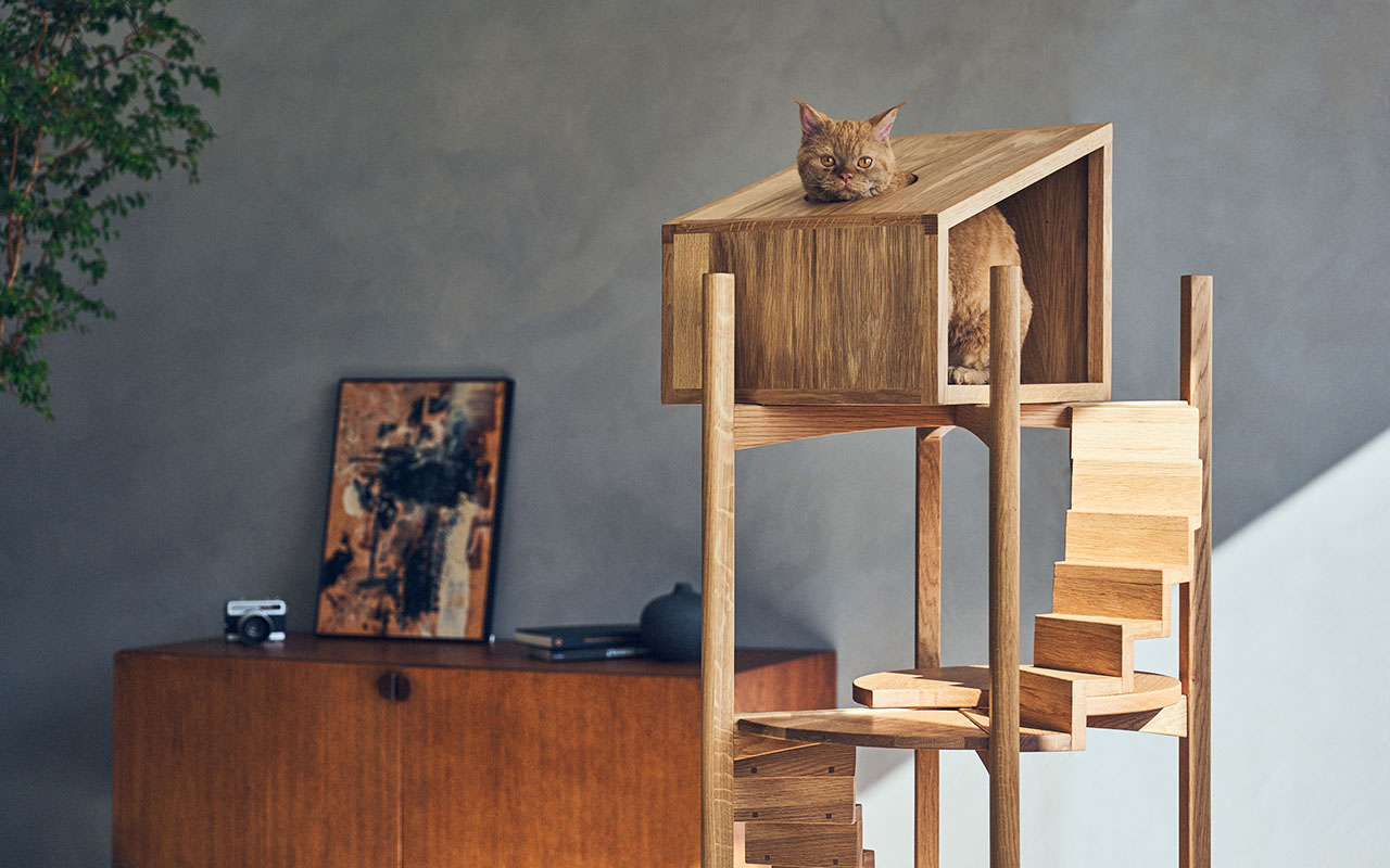 アートのように美しい、猫の居場所｜LA CHATON