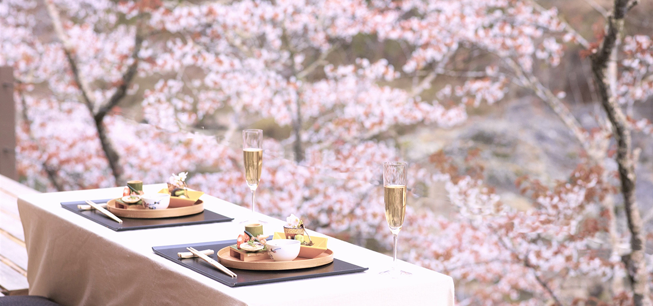 お花見という贅沢時間を、2025年こそは手に入れる