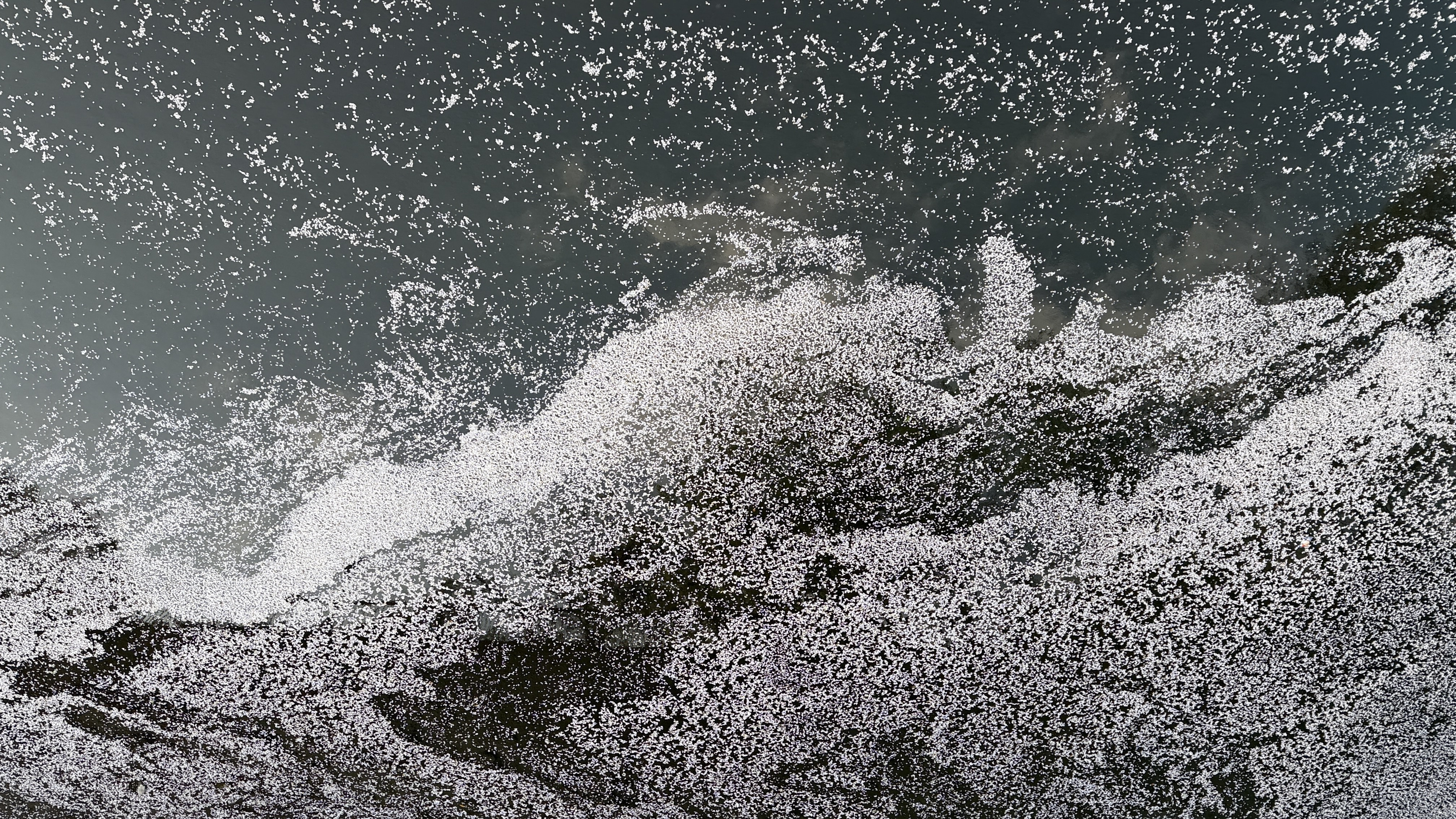 松浦俊夫｜注目の最新楽曲を一挙ピックアップ 4月11日号