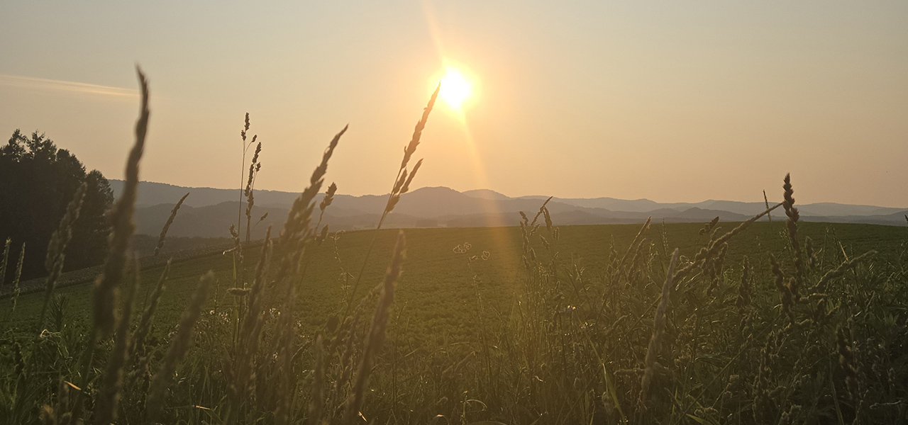 ノゾホテルから見る、富良野の強さと豊かさ