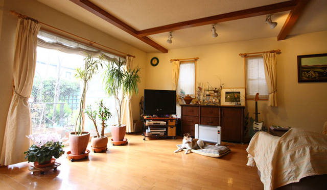 壁は、調湿機能の高い「珪藻土（けいそうど）」を指名。調湿機能があるので梅雨時にもサラッとしていて、静電気を起こさないので汚れが付きにくい。犬のアポロン君と猫2匹の3匹と暮らしているが、匂いもほとんど感じない。珪藻土はゴミになったときにも土に返る“循環する素材”である