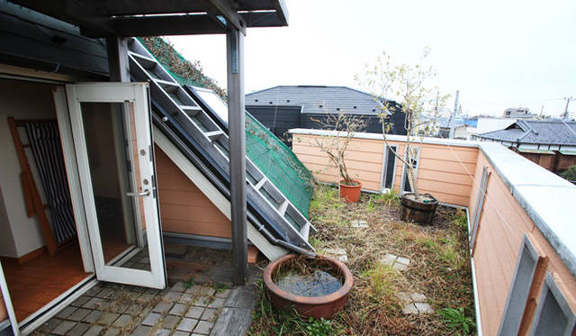 ビオガーデンがコンセプトの屋上緑化は、なるべく在来種をとのことで、近所の壊す団地から土を移植。壁面緑化は断熱効果もあり、めだかもいて、まさにBios(生命)+Topos(場所)＝ビオトープな空間