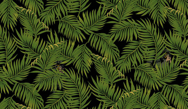 NITRAID アロハパターン