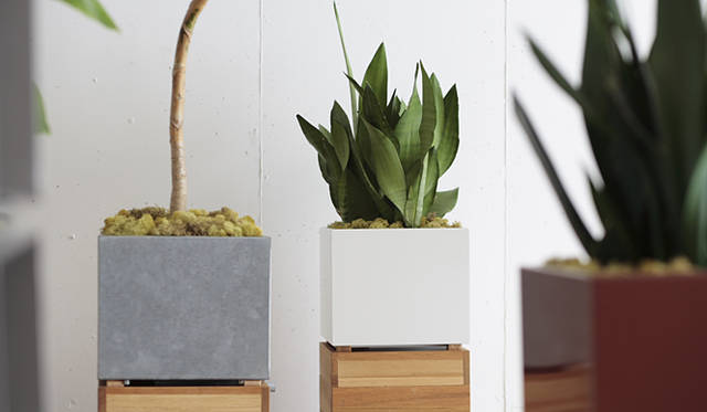 跳び箱から発想した段で、積み木のように高さの調整が可能な「drawer」（引き出し）