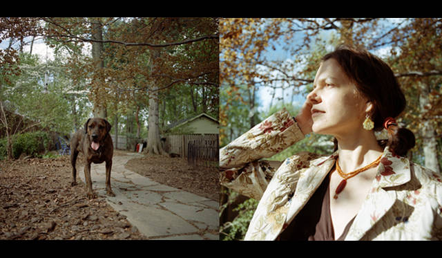 vanOs/オランダ/ミックスメディア/2005