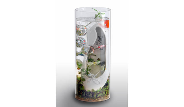 <strong>Repetto（レペット）60周年記念</strong>Anne＿Model＆Actress