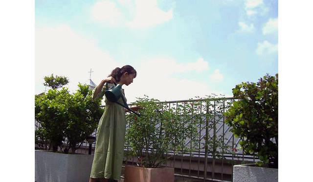 藤原美智子｜ふじわらみちこ