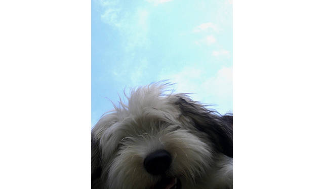 藤原美智子｜ふじわらみちこ｜5:50　アルフと朝食