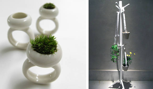 The Moss Ring, The Pot is for outing / ON ZA LINE