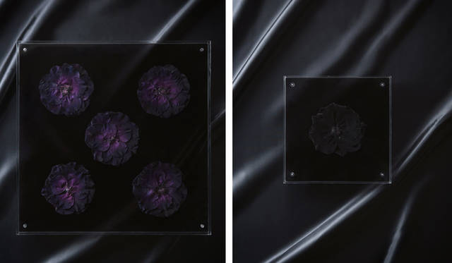 デザインフラワーブランド『frenity』インテリアオブジェ「Mysterious Bloom」  3万9900円（M）、1万6800円（S）