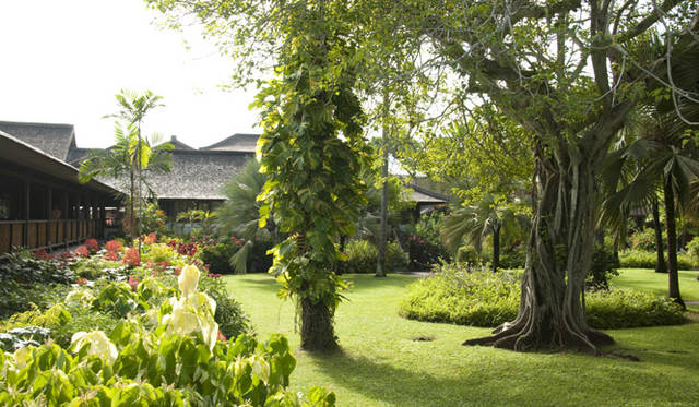 さまざまな種類の南国の木々が生い茂るクラブメッド・バリ。濃い緑にアクセントをつける可憐な花々。