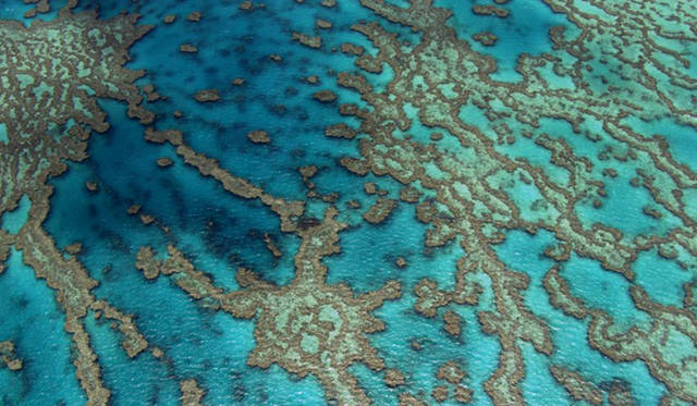 ©Film “HOME” – ELZEVIR FILMS / EUROPACORP coproduction Great Barrier Reef, Queensland, Australia (16°55’ S – 146°03’ E).