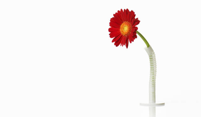 デザインレ―ベル「100％」 Straw Vase