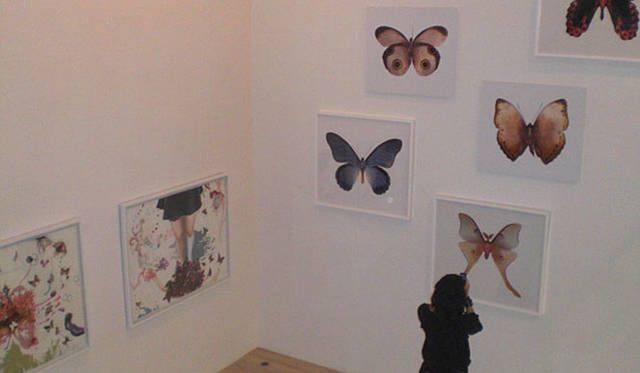 ION Studio　「Erika Harrsch」の作品を展示