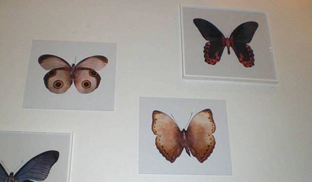 ION Studio　「Erika Harrsch」の作品を展示