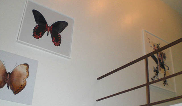 ION Studio　「Erika Harrsch」の作品を展示