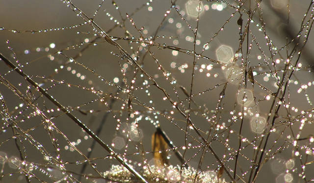 TAKAGI Masakatsu｜高木正勝　　映画「或る音楽」より