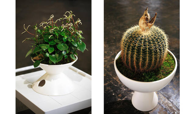 「アーキテクチュラルポテリー（Architectual Pottery）」<br>左／プランター（TH-1 MATTE GLAZED・STUDIO WHITE）4万8900円、植物（ペペジェイド＋ハリゴケ）<br>右／プランター（G-21 WITH OPTIONAL S-2 BASE MATTE GLAZED・STUDIO WHITE）10万4400円、植物（金鯱＋ミズゴケ）