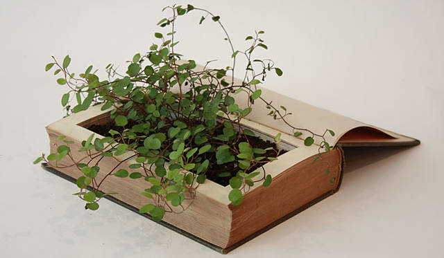 東京ピストル「HONBACHI/本鉢」小／6300円（約160×200×30mm）、中／8400円（約160×220×40mm）、大／1万500円（約160×220×60mm）