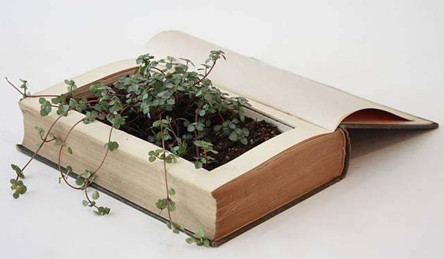 東京ピストル「HONBACHI/本鉢」小／6300円（約160×200×30mm）、中／8400円（約160×220×40mm）、大／1万500円（約160×220×60mm）