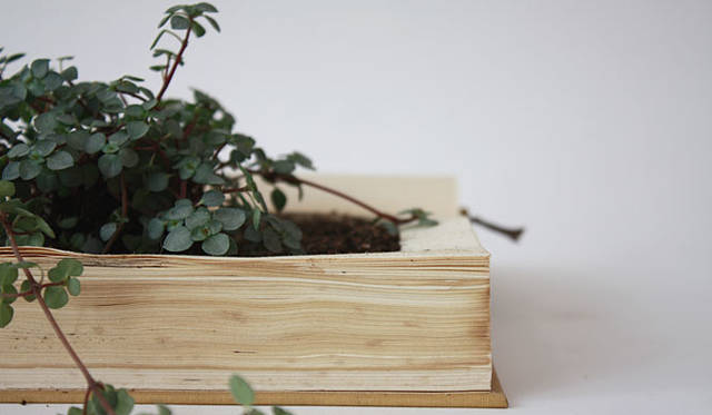 東京ピストル「HONBACHI/本鉢」小／6300円（約160×200×30mm）、中／8400円（約160×220×40mm）、大／1万500円（約160×220×60mm）