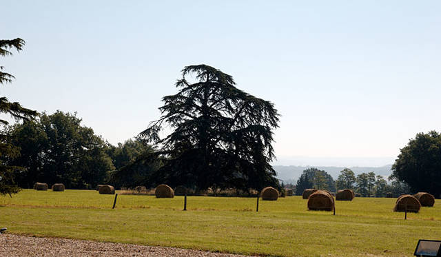 何万ヘクタールという広大な庭