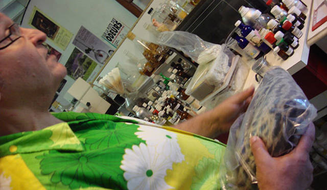 「香りの魔術師」が手にもっているのは、どう見てもフェイク（笑）の山猫