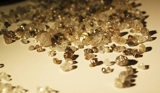 ダイヤモンドの原石も展示され、多くの人々の目を惹きつけた。