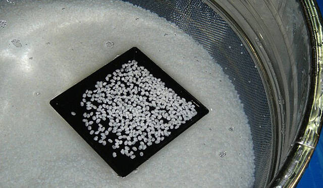 西田酒造店 洗米