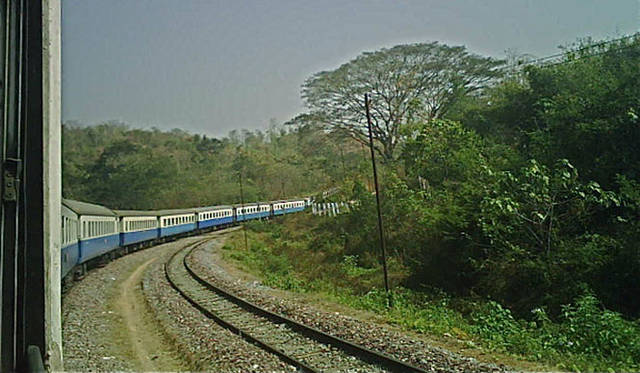 Photo by Judith Bedard