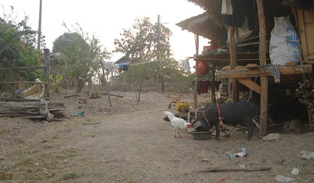 Photo by Judith Bedard