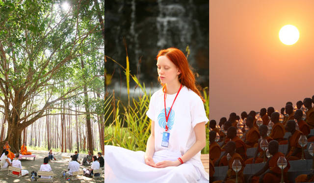 Photo by Judith Bedard