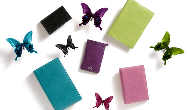 自分のスタイルのコーディネイトを楽しめる“knoxbrain（ノックスブレイン）”の『kalos（カロス）』